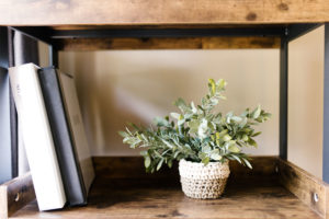 plant-on-shelf