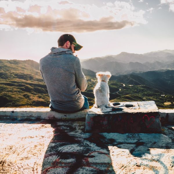 Man sitting with his dog looking at the mountains