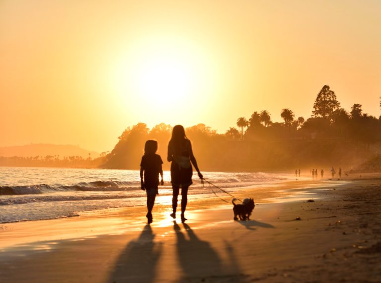 Couple walking on the beach at sunset with their dog
