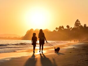 Couple walking on the beach at sunset with their dog