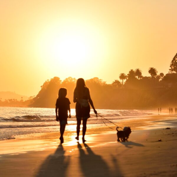 Couple walking on the beach at sunset with their dog