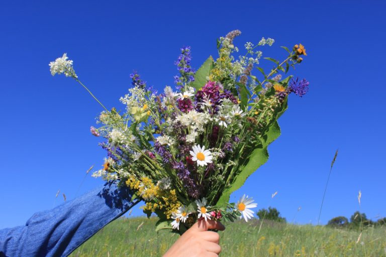 Bouquet of flowers on a sunny day